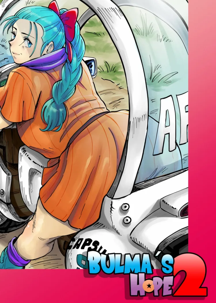 Cover of Bulma’s Hope 2 – Aarokira