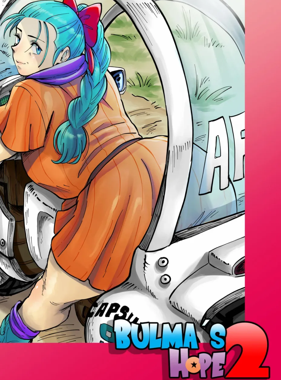 Cover of Bulma’s Hope 2 – Aarokira