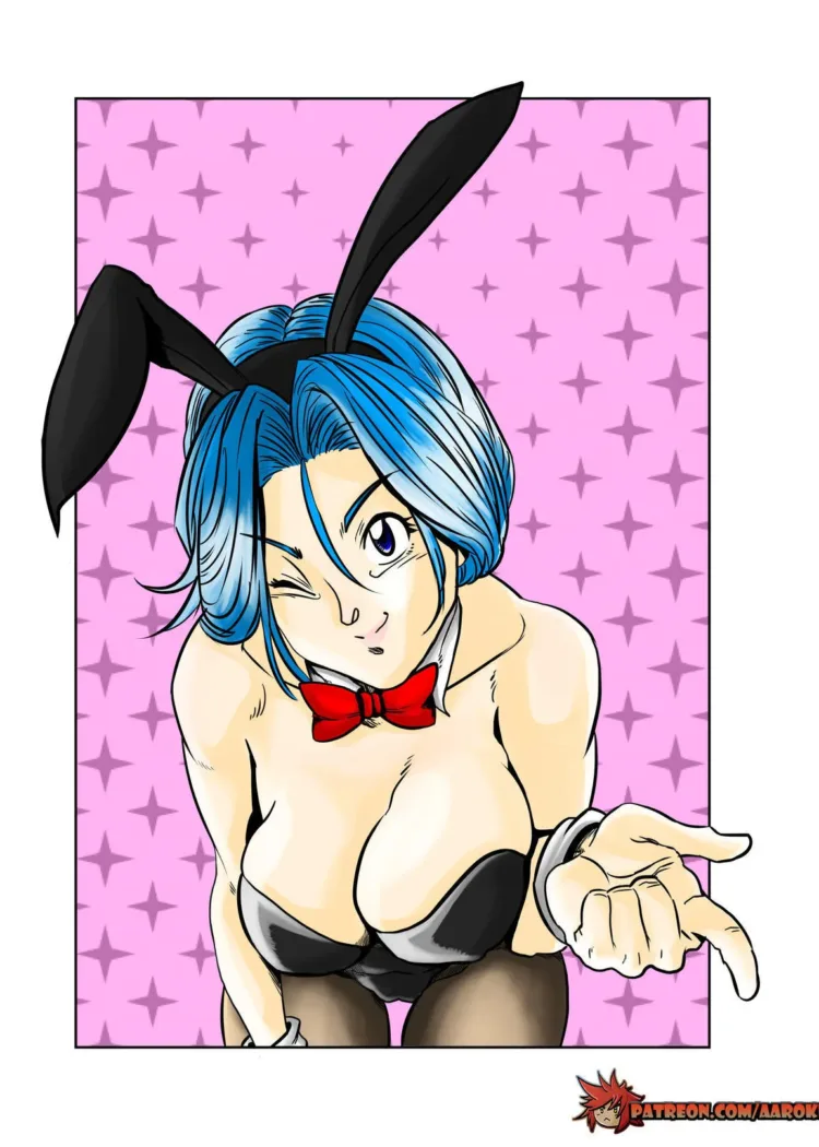 Cover of Bulma’s Hope – Aarokira