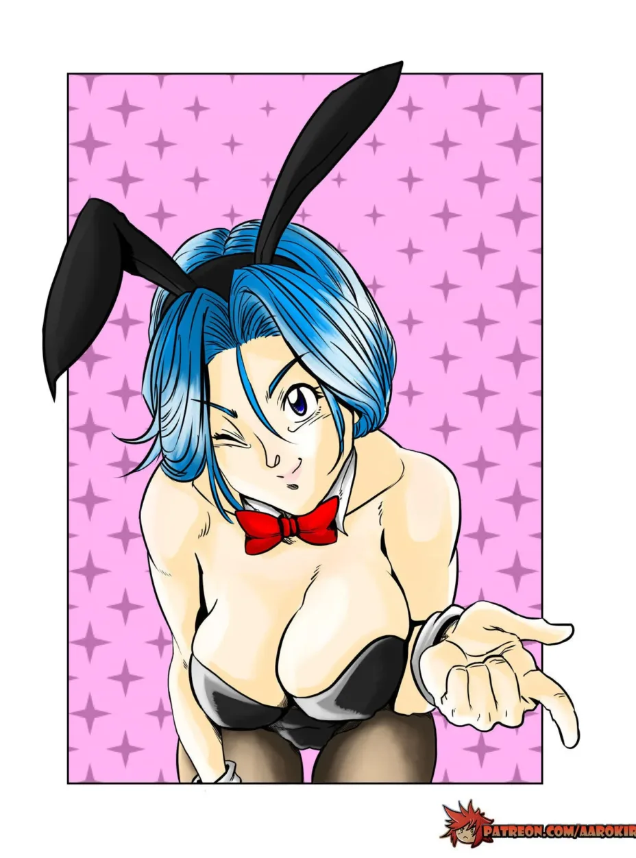 Cover of Bulma’s Hope – Aarokira