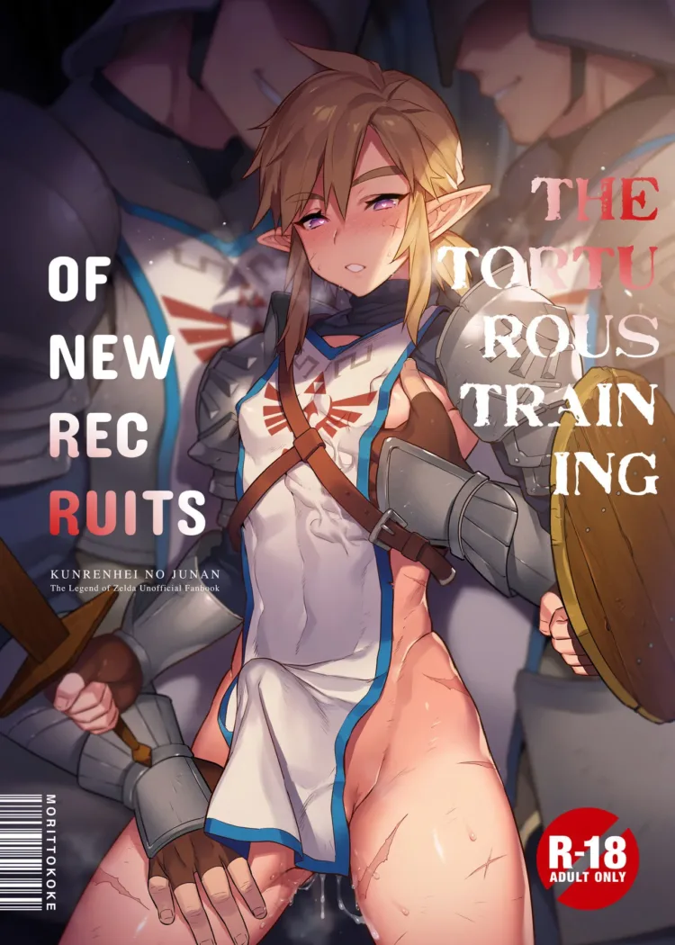 Cover of The Torturous Training of New Recruits – The Legend of Zelda Gay
